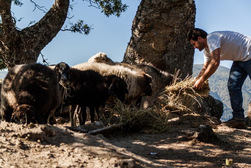La Taverna Dei Briganti Cotronei Bagian luar foto