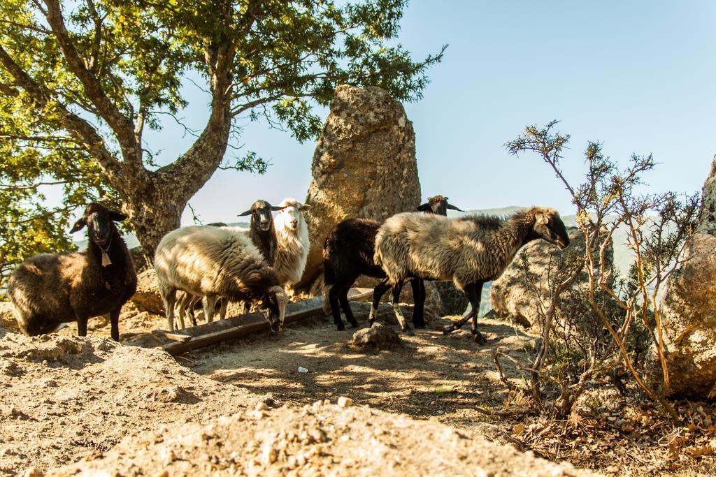 La Taverna Dei Briganti Cotronei Bagian luar foto